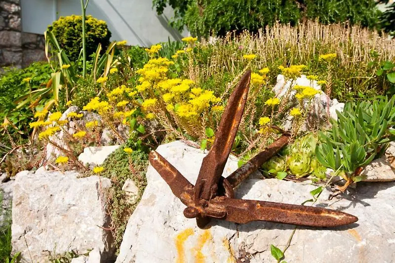 Pape Punat Apartmani I Sobe