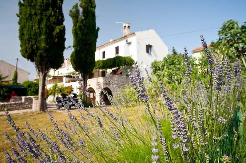 Pape Punat Apartmani I Sobe